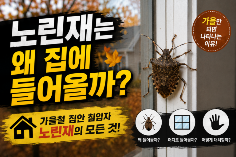 노린재는 왜 집에 들어올까? 가을철 나타나는 이유