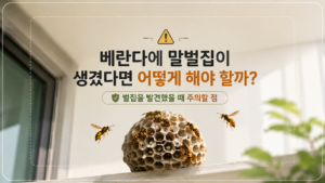 벌집은 왜 동그라미가 아니라 육각형일까? 꿀벌이 만드는 구조의 비밀