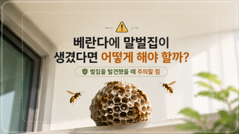 벌집은 왜 동그라미가 아니라 육각형일까? 꿀벌이 만드는 구조의 비밀